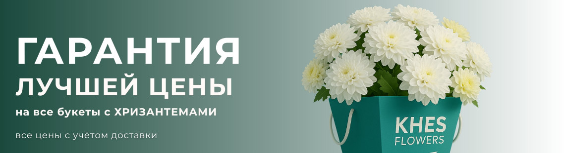Хризантемы